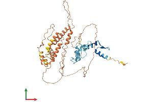 Protein Structure (PS) image for Zinc Finger and SCAN Domain Containing 4 (ZSCAN4) (AA 1-433) protein (His tag) (ABIN7545374)