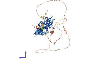Protein Structure (PS) image for Protein Kinase, AMP-Activated, gamma 2 Non-Catalytic Subunit (PRKAG2) (AA 1-569) protein (His tag) (ABIN7551819)