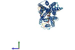 Protein Structure (PS) image for Solute Carrier Family 29 (Nucleoside Transporters), Member 2 (SLC29A2) (AA 1-456) protein (His tag) (ABIN7557729)