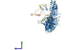 Protein Structure (PS) image for Transient Receptor Potential Cation Channel, Subfamily A, Member 1 (TRPA1) (AA 1-1119) protein (His tag) (ABIN7555865)