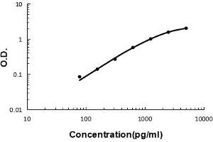 Sandwich ELISA - Recombinant mouse IL23 Receptor/Il23r protein standard curve.