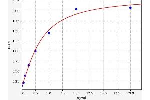 CDK2 ELISA 试剂盒