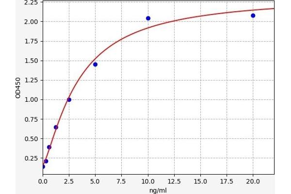 CDK2 ELISA 试剂盒