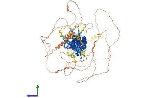 Protein Structure (PS) image for Endothelial PAS Domain Protein 1 (EPAS1) (AA 1-874) protein (His tag) (ABIN7563556)