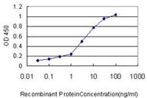 Detection limit for recombinant GST tagged FKBP5 is approximately 0. (FKBP5 抗体  (AA 1-457))