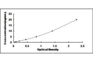 Typical standard curve (PFDN1 ELISA 试剂盒)
