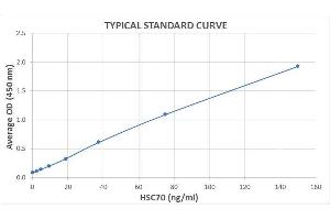 Typical Standard Curve for the HSC70 ELISA kit (Enzyme-Linked Immunosorbent Assay).