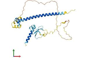 Protein Structure (PS) image for Cell Division Cycle Associated 8 (CDCA8) (AA 1-280) protein (His tag) (ABIN7552769)