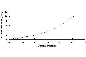 Typical standard curve (SLC1A2 ELISA 试剂盒)