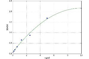 A typical standard curve