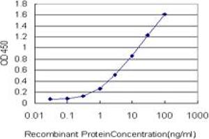 Detection limit for recombinant GST tagged PCMT1 is approximately 0. (PCMT1 抗体  (AA 117-225))
