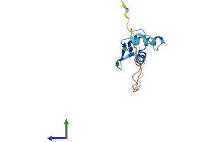 AlphaFold protein structure predicition of Human Recombinant RPS25 Protein, UniprotID P62851