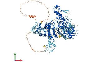 AlphaFold protein structure predicition of Human Recombinant UBE3A Protein, UniprotID Q05086