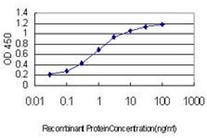 Detection limit for recombinant GST tagged RNF12 is approximately 0.