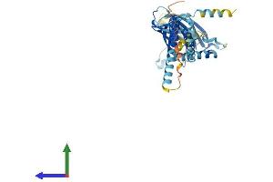 Protein Structure (PS) image for ERGIC and Golgi 2 (ERGIC2) (AA 1-377) protein (His tag) (ABIN7560623)