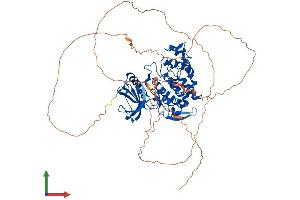 Protein Structure (PS) image for CLK3 (CLK3) (AA 1-638) protein (His tag) (ABIN7562330)