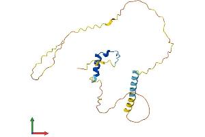 Protein Structure (PS) image for Cbp/p300-Interacting Transactivator, with Glu/Asp-Rich Carboxy-terminal Domain, 1 (CITED1) (AA 1-203) protein (His tag) (ABIN7563563)