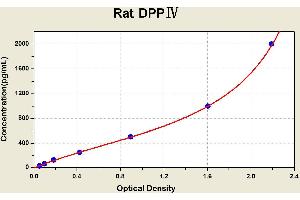 Diagramm of the ELISA kit to detect Rat DPP? (DPP4 ELISA 试剂盒)