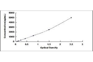 Typical standard curve (Bcl-2 ELISA 试剂盒)