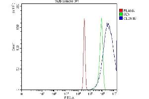 Flow Cytometry analysis of Hela cells using anti-Claudin18/CLDN18 antibody (ABIN7601257). (Claudin 18 抗体  (AA 31-261))