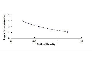 Typical standard curve (KISS1 ELISA 试剂盒)