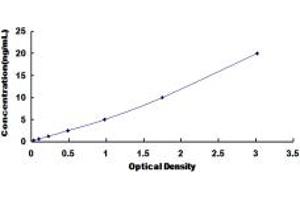 Typical standard curve (KLC1 ELISA 试剂盒)