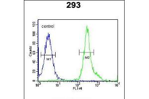 Flow cytometric analysis of 293 cells (right histogram) compared to a negative control cell (left histogram). (Tetraspanin 3 抗体  (AA 90-117))