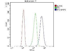 Flow Cytometry analysis of A431 cells using anti-RP2 antibody (ABIN6719513).
