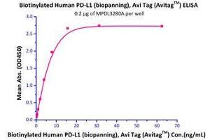 Binding Studies (Bind) image for CD274 (PD-L1) (AA 19-238) (Active) protein (His tag,AVI tag,Biotin) (ABIN2870558)