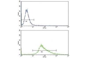 Flow Cytometry (FACS) image for anti-Wingless-Type MMTV Integration Site Family, Member 4 (WNT4) (AA 211-239) antibody (ABIN3029633)