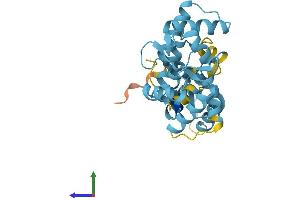 Protein Structure (PS) image for Calbindin 2 (CALB2) (AA 1-271) protein (His tag) (ABIN7556921)