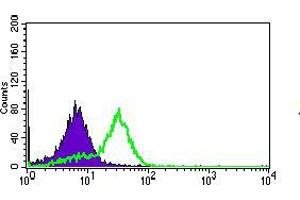 Flow cytometric analysis of HepG2 cells using MRPL42 mouse mAb (green) and negative control (purple). (MRPL42 抗体  (AA 10-142))