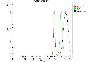 Flow Cytometry analysis of Hela cells using anti-MRPS18B antibody (ABIN7600740).