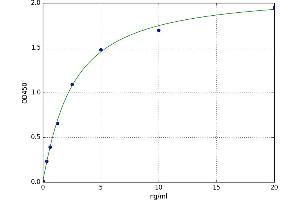 A typical standard curve (Elastase 3B ELISA 试剂盒)