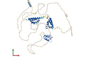 Protein Structure (PS) image for Mex-3 Homolog B (MEX3B) (AA 1-601) protein (His tag) (ABIN7557883)