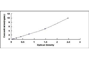 Typical standard curve (KRT81 ELISA 试剂盒)