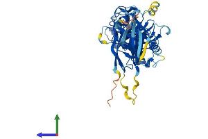 AlphaFold protein structure predicition of Human Recombinant INPP5K Protein, UniprotID Q9BT40
