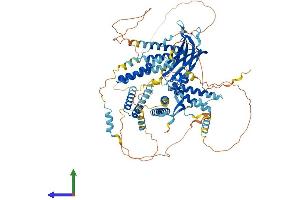 Protein Structure (PS) image for Coiled-Coil and C2 Domain Containing 1B (CC2D1B) (AA 1-858) protein (His tag) (ABIN7552949)