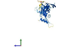 Protein Structure (PS) image for DnaJ (Hsp40) Homolog, Subfamily B, Member 13 (DNAJB13) (AA 1-316) protein (His tag) (ABIN7558432)