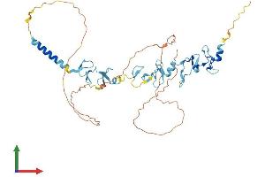 AlphaFold protein structure predicition of Human Recombinant WTIP Protein, UniprotID A6NIX2