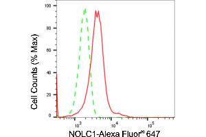 Flow cytometric analysis of NOLC1 expression in HeLa cells using NOLC1 antibody (ABIN7799665), 1:2,000). (Recombinant NOLC1 抗体)