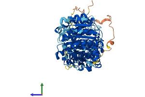Protein Structure (PS) image for Histone Deacetylase 10 (HDAC10) (AA 1-669) protein (His tag) (ABIN7554065)