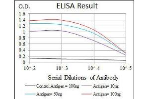 Black line: Control Antigen (100 ng), Purple line: Antigen(10 ng), Blue line: Antigen (50 ng), Red line: Antigen (100 ng), (FZD5 抗体  (AA 151-217))