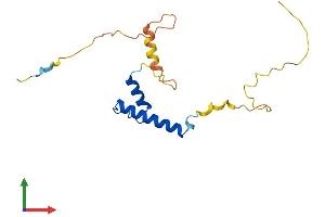 Protein Structure (PS) image for Inhibitor of DNA Binding 4, Dominant Negative Helix-Loop-Helix Protein (ID4) (AA 1-161) protein (His tag) (ABIN7563222)