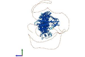 Protein Structure (PS) image for PDS5, Regulator of Cohesion Maintenance, Homolog B (PDS5B) (AA 1-1446) protein (His tag) (ABIN7563782)