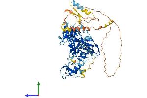 Protein Structure (PS) image for E3 Ubiquitin-protein ligase DTX1 (DTX1) (AA 1-620) protein (His tag) (ABIN7553744)