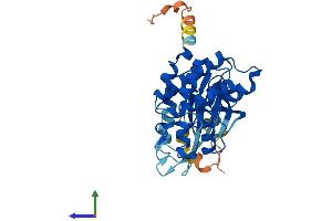 Protein Structure (PS) image for Cyclin-Dependent Kinase 6 (CDK6) (AA 1-326) protein (His tag) (ABIN7553303)