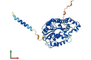 Protein Structure (PS) image for Carbohydrate (N-Acetylglucosamine 6-O) Sulfotransferase 5 (CHST5) (AA 1-395) protein (His tag) (ABIN7561726)