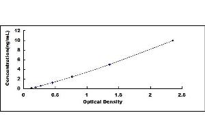 Typical standard curve (ROCK2 ELISA 试剂盒)