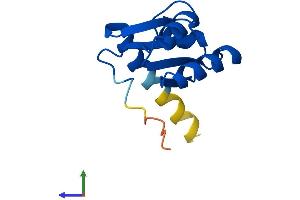 Protein Structure (PS) image for Ribosomal Protein L30 (RPL30) (AA 1-115) protein (His tag) (ABIN7551430)